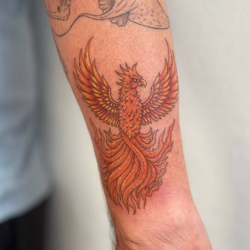 Colour phoenix, by Moll